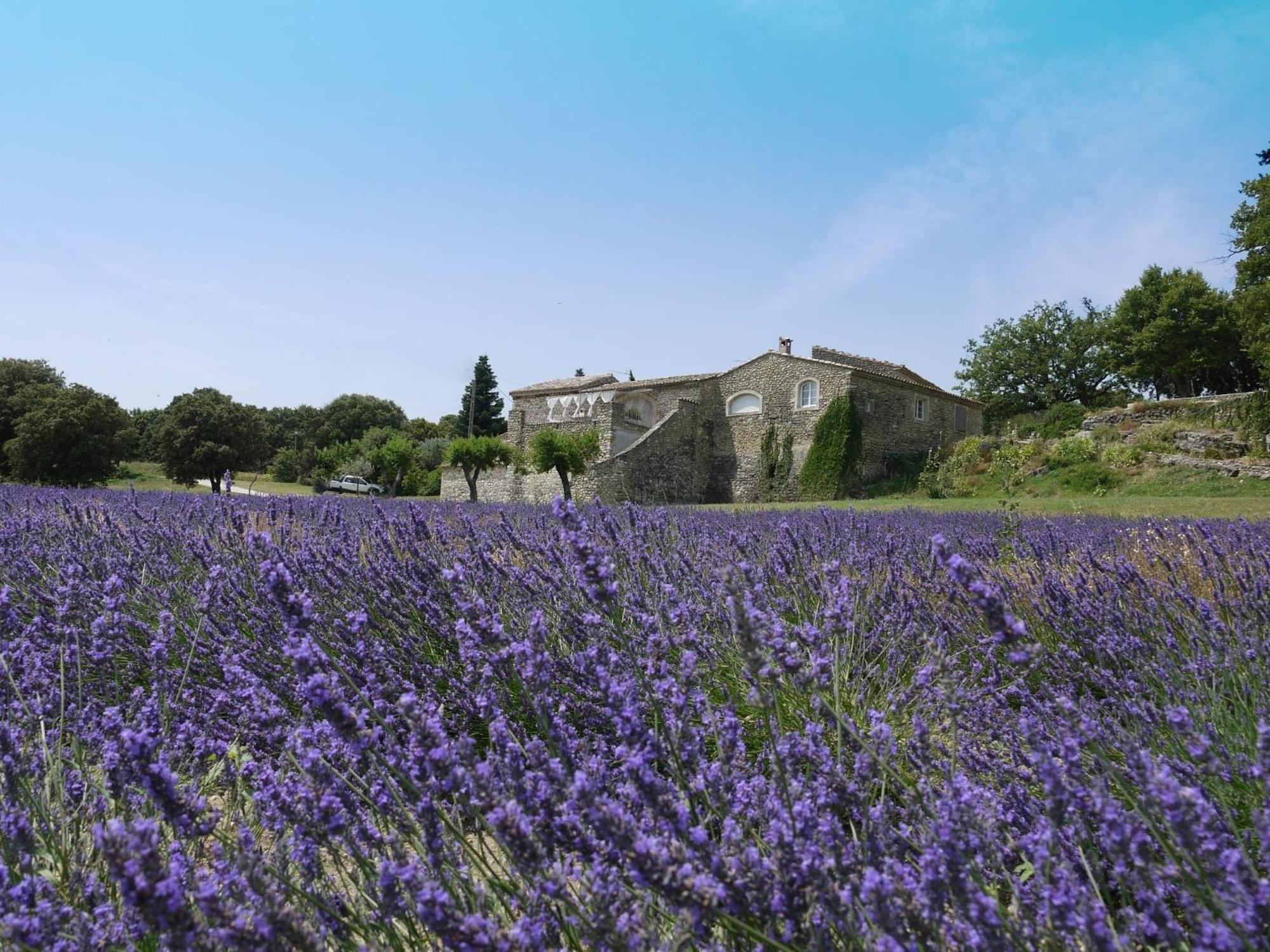 La Ferme Les Eybrachas Hotel Réauville Buitenkant foto